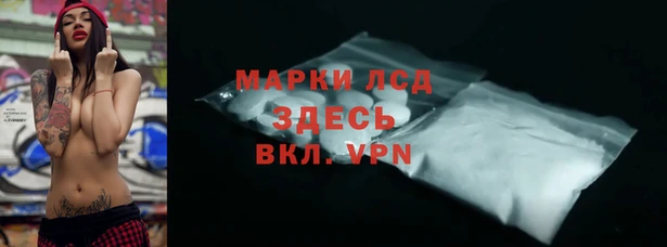 индика Апатиты